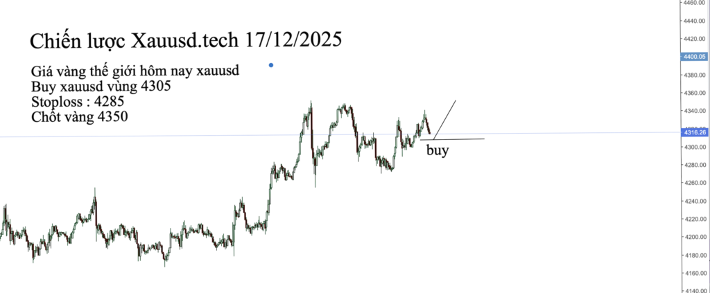 Ảnh màn hình 2025-12-17 lúc 15.33.34